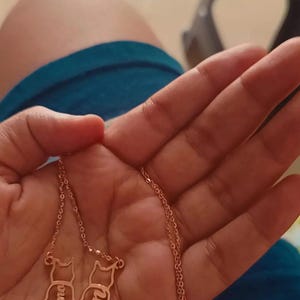 Dipanjan added a photo of their purchase