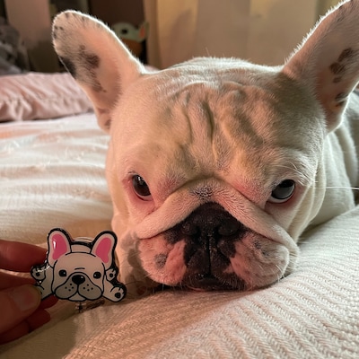 French Bulldog Badge Reel Dog Badge Reel Badge Clip Badge - Etsy(03)