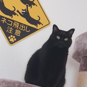 Elena added a photo of their purchase