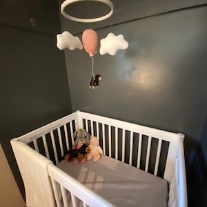Allison added a photo of their purchase
