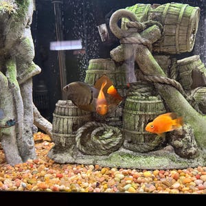 Dave added a photo of their purchase