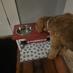 Tina a ajouté une photo de son achat
