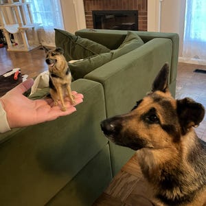 Judy heeft een foto van de aankoop toegevoegd
