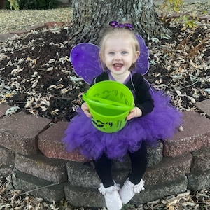 Purple Butterfly Halloween Costume, Little Girls Butterfly Dress ...