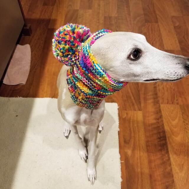 Whimsical knitted dog sweaters hats snoods by WhipKnitsDogSweaters
