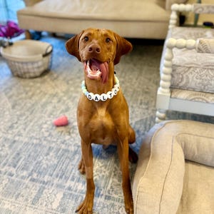 Laura heeft een foto van zijn/haar aankoop toegevoegd