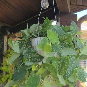 Cindy added a photo of their purchase