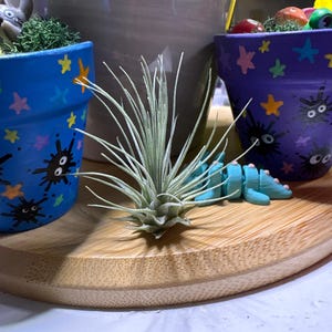 Joanne added a photo of their purchase