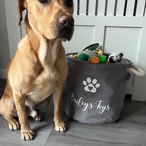 Amelia added a photo of their purchase