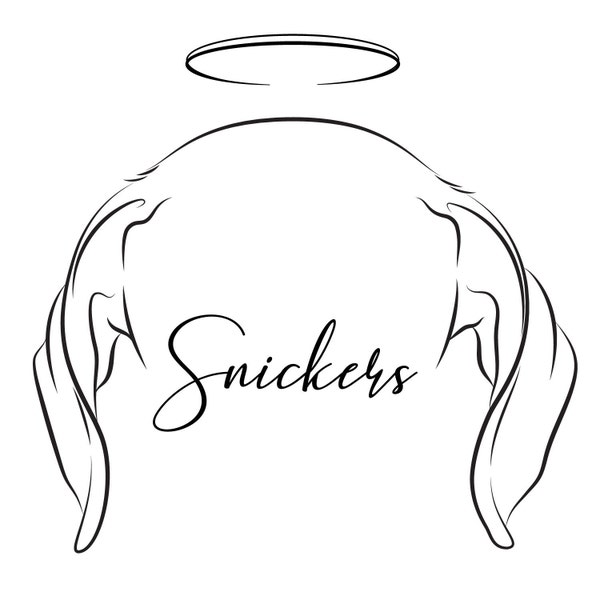 Custom Pet Ear Outline Drawing Dog Ears Drawing Pet Ear Tattoo Outline