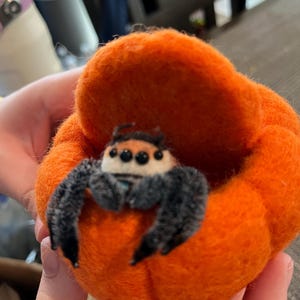 Sharon added a photo of their purchase