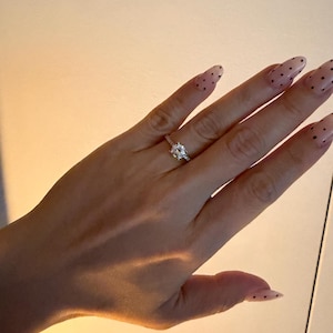 Paula added a photo of their purchase