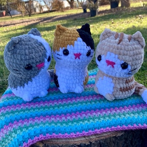 Lily added a photo of their purchase