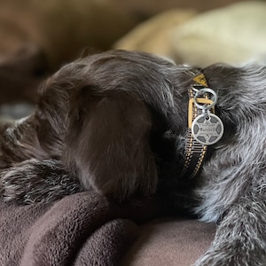 Stacy added a photo of their purchase