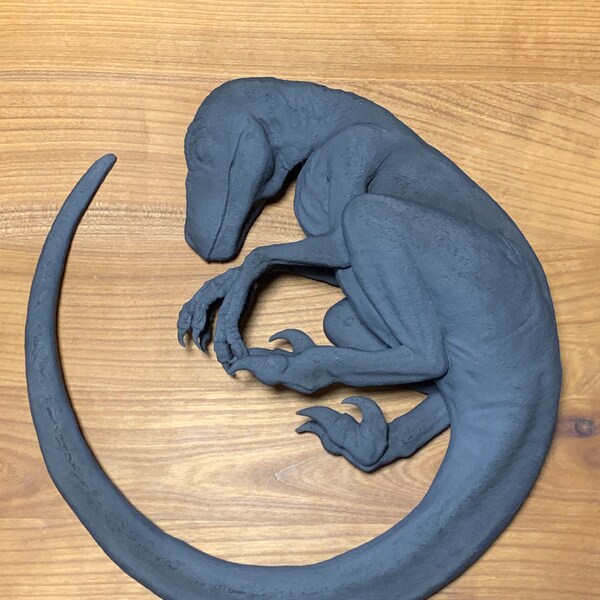 Sleeping Baby Velociraptor Art - Dinosaur - 3D Printed - Multiple ...