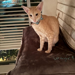 Tori added a photo of their purchase