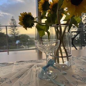 sarah ha aggiunto una foto del proprio acquisto