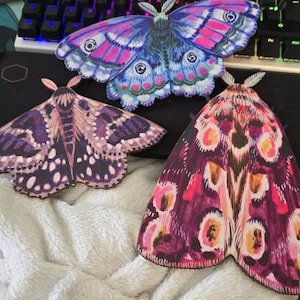 Beth added a photo of their purchase