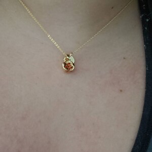 Emory さんが購入した商品の写真を追加しました