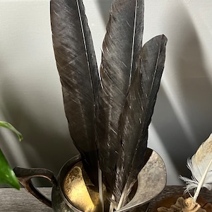 Crystal added a photo of their purchase