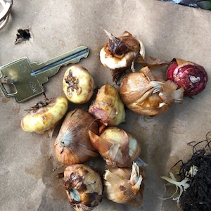 Haydee ha añadido una foto de su compra