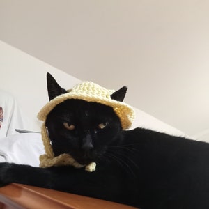 Niko added a photo of their purchase