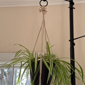 Lynn added a photo of their purchase