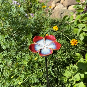 Judi added a photo of their purchase
