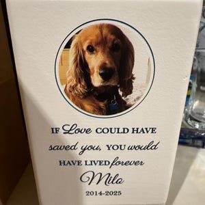 Heather added a photo of their purchase
