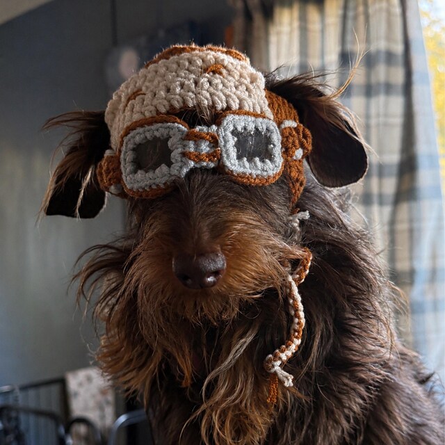 Hand-knitted Dog Aviator Hat With Goggles – Pet Pilot Costume for