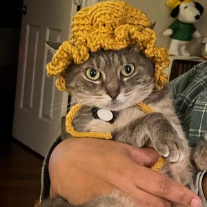 ペット用かぎ針編みパターン、猫の帽子のパターン、植民地時代の