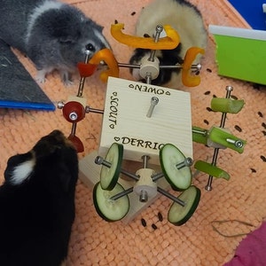 Niki added a photo of their purchase