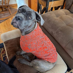 Lacey added a photo of their purchase