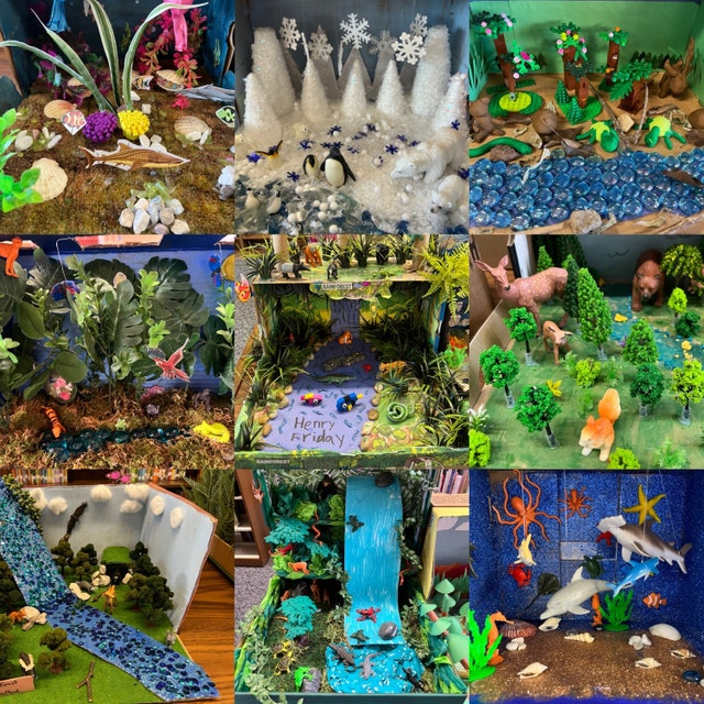 Shoebox Diorama for Kids: Create your own: ocean , jungle , forest , and  sea habitat , including cut out animal figurines from 4 biomes , for  natural