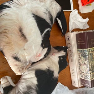 clare hat ein Foto des gekauften Artikels hinzugefügt