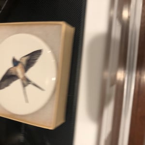 Joan added a photo of their purchase