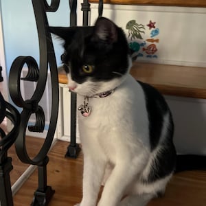 Sandy heeft een foto van zijn/haar aankoop toegevoegd