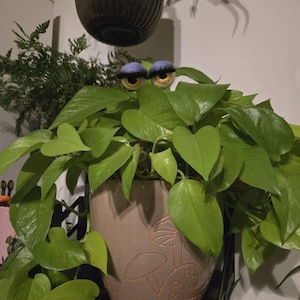 Lauren a ajouté une photo de son achat