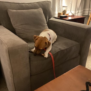 Robin ha aggiunto una foto del proprio acquisto