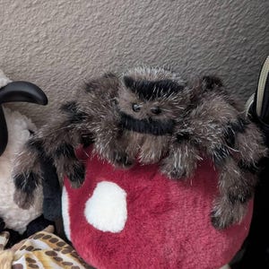 6インチのジャンプするクモのぬいぐるみ - ポーズ可能なアートドール