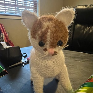 Isabella added a photo of their purchase