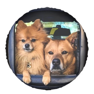 Kathy added a photo of their purchase