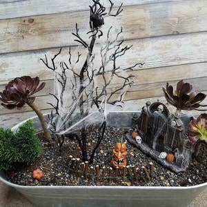 aisha added a photo of their purchase