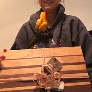 Alvin added a photo of their purchase