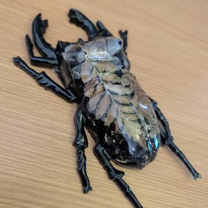 Grace hat ein Foto des gekauften Artikels hinzugefügt