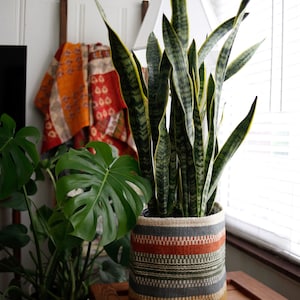 Ashley added a photo of their purchase
