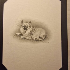 Ninna added a photo of their purchase