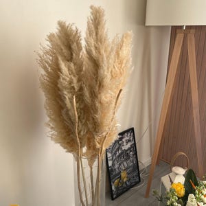 GRANDIAU added a photo of their purchase