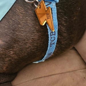 Candy added a photo of their purchase