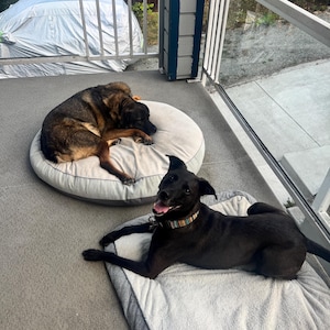 scarlett added a photo of their purchase